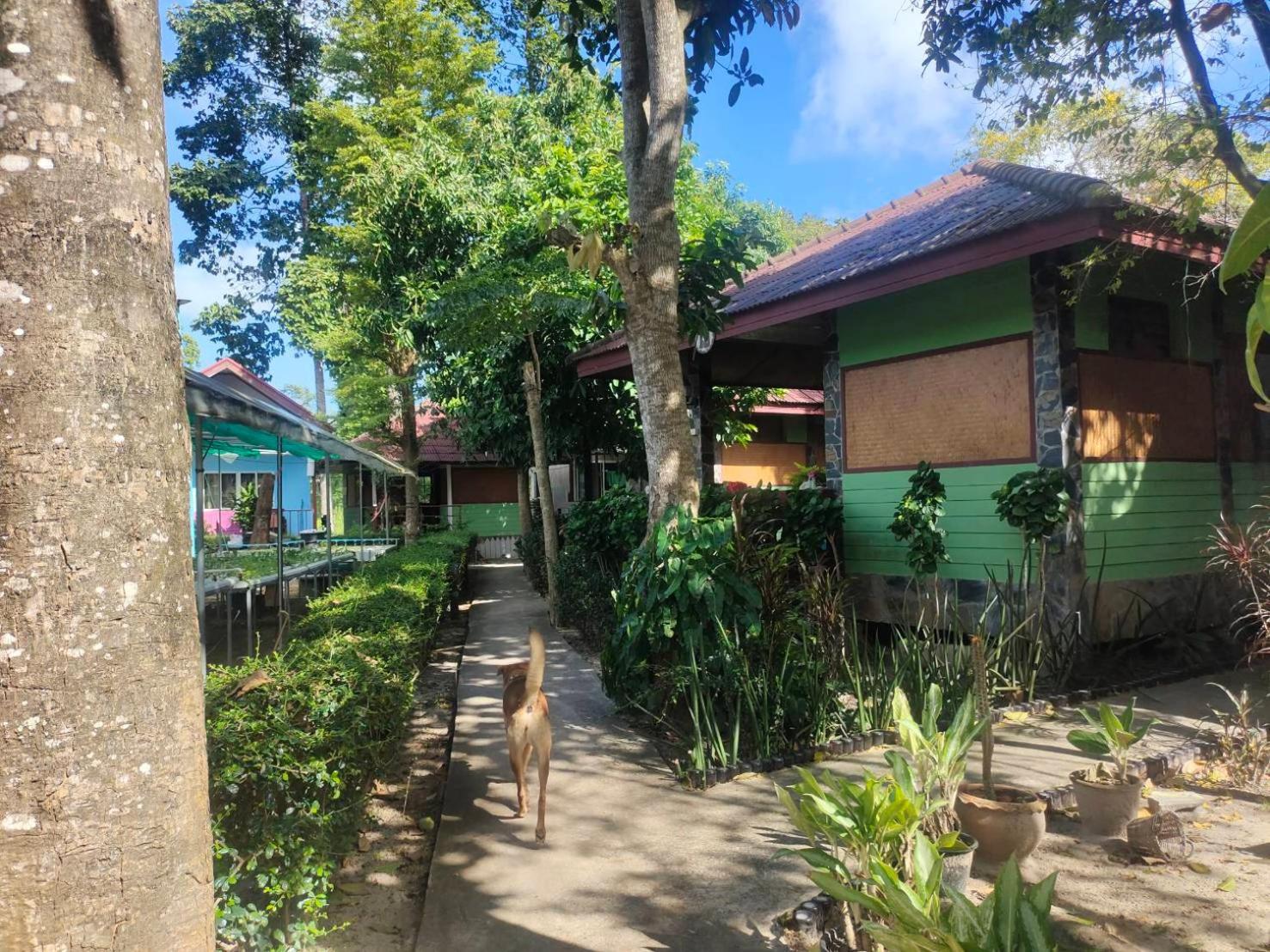 Everest Resort Samui - Sha Plus หาดแม่น้ำ ภายนอก รูปภาพ